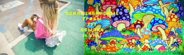 apvp Алзамай