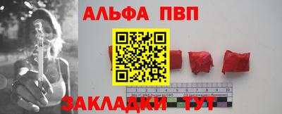 шишки Донской